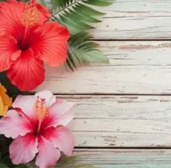 もも様 リクエスト 2点 まとめ商品