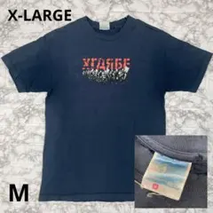 90s USA製 XLARGE Tシャツ 旧タグ カメラタグ フェード M 紺