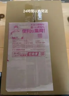 24時間以内発送 スペシャルBOX ポケモンセンターフクオカ