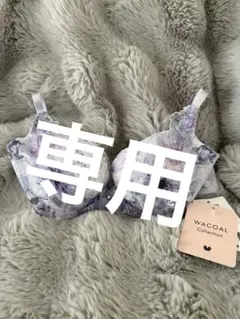 新品未使用 WACOAL Collection ハグするブラ C65