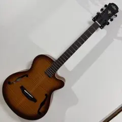 MICHAEL M62 エレアコ　アーチトップ　美品 MICHAEL M62 エレアコ アーチトップ 美品 - メルカリ