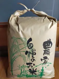 2025度産 新潟県南魚沼産コシヒカリ 幻の大沢産 精米10キロ - メルカリ