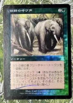 MTG 獣群の呼び声/Call of the Herd ODY 日本語 foil - メルカリ