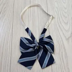 Item thumbnail for item c2653a19-bec3-491e-8807-d2552fe0364d