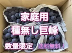 山梨県産 ぶどう⭐️巨峰⭐️訳あり品 家庭用⭐️10房入り⭐️箱込み約