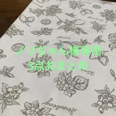 【ノリちゃん様専用】3点おまとめ