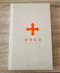 2026年最新】radwimps 絶対延命の人気アイテム - メルカリ