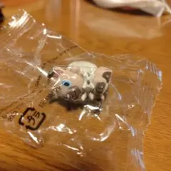 イワンコ★ポケモンゲットコレクションズ