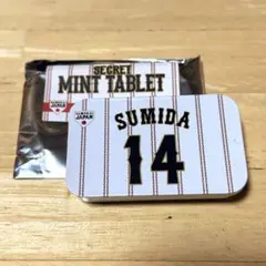 【匿名配送】侍ジャパン 14 隅田 知一郎ミントタブレット埼玉西武ライオンズ
