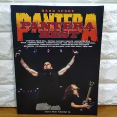レア PANTERA DVD 俗悪20周年 鎌首20周年(輸入盤) - メルカリ
