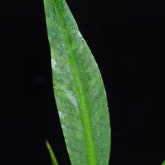 ハルたん様 リクエスト 4点 まとめ商品