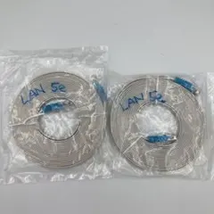 LANケーブル ２本セット　規格５e /　30AWG UTPフラットケーブル