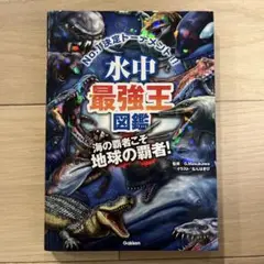 水中最強王図鑑