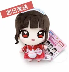 心花りり　ぬいぐるみ　アクキー 2026年最新】心花りりの人気アイテム - メルカリ