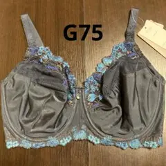 ワコール　wingレシアージュ フルカップタイプ ネイビー　G75