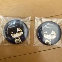 めろんぱーかー 缶バッジ ブロマイド kamome - メルカリ