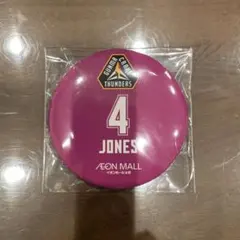 群馬クレインサンダーズ JONES バッジ 4