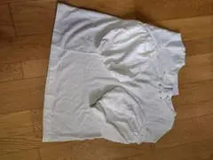 Item thumbnail for item bda7b958-96bd-4926-a323-94ff6ceed8a6