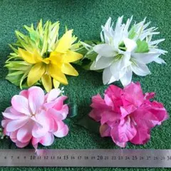 Item thumbnail for item f0847345-37d1-4e34-affd-33be9b4e1a33