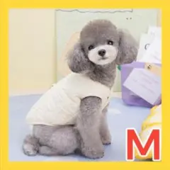 Item thumbnail for item 5c6d8bb7-5492-4d0c-829b-c160a56310ce