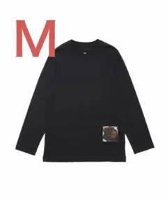 Item thumbnail for item 9d9f49f1-b058-49a4-83be-86ae93d3240e