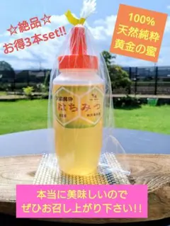 【絶品はちみつ】黄金の百花蜜300g×3本のサムネイル
