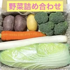 新鮮野菜セット　野菜詰め合わせ d