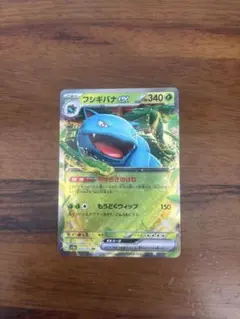 2026年最新】フシギバナ003の人気アイテム - メルカリ