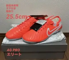 ティエンポレジェンド10 エリート AG 25.5cm