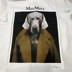 マックスマーラ Max mara Tシャツ 犬 滝沢眞規子さん着用色違い