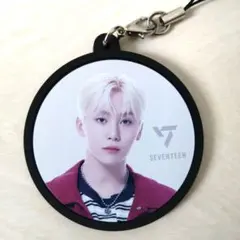 ❤SEVENTEEN❤キーホルダー 丸型 PLEDIS