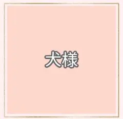 専用出品　LLサイズ5個3Lサイズ5個