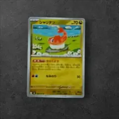 シャリタツ プロモ