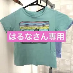 Patagonia キッズ Tシャツ 2枚セット