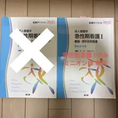 【最終値下げ‼️】書き込み無し 成人看護学 急性期看護 I II セット