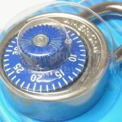 Item thumbnail for item 36fb2f25-aba1-420c-8764-5c41a24f603b