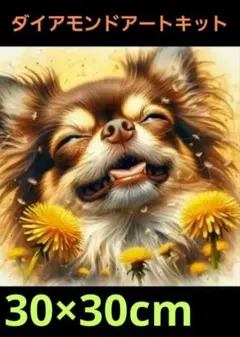 チワワ　ダイヤモンドアート　キット 30×30cm