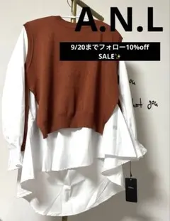 A.N.L ニットベストレイヤード風ブラウス2点セット✨
