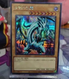 青眼の白龍 シークレット 遊戯王