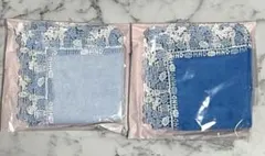 Item thumbnail for item 63b6f263-f44f-4141-b8f2-55ae69a32015