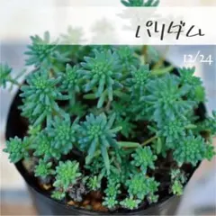 4児の母様 リクエスト 6点 まとめ商品