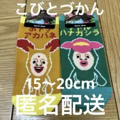 最終価格　こびとづかん　ホトケアカバネ　リトルハナガシラ　ソックス　靴下