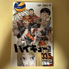ハイキュー!! 33.5 特別版
