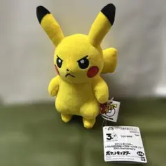ポケットモンスター いろんなおかおぬいぐるみ～ピカチュウ～30th 怒り目