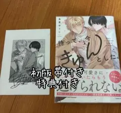 待って、今きゅんとした。　初版帯付き　特典付き