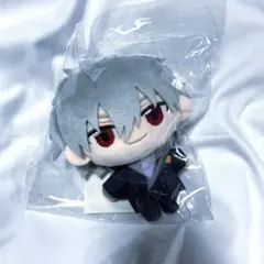 2026年最新】渚カヲルぬいぐるみの人気アイテム - メルカリ