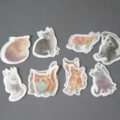 【おすそ分け】ねこちゃんフレークシール8種×3枚セット