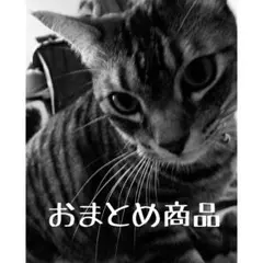 norichan様 リクエスト 2点 まとめ商品