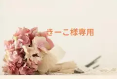 きーこ様 リクエスト 2点 まとめ商品