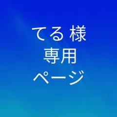 てる様 専用ページ